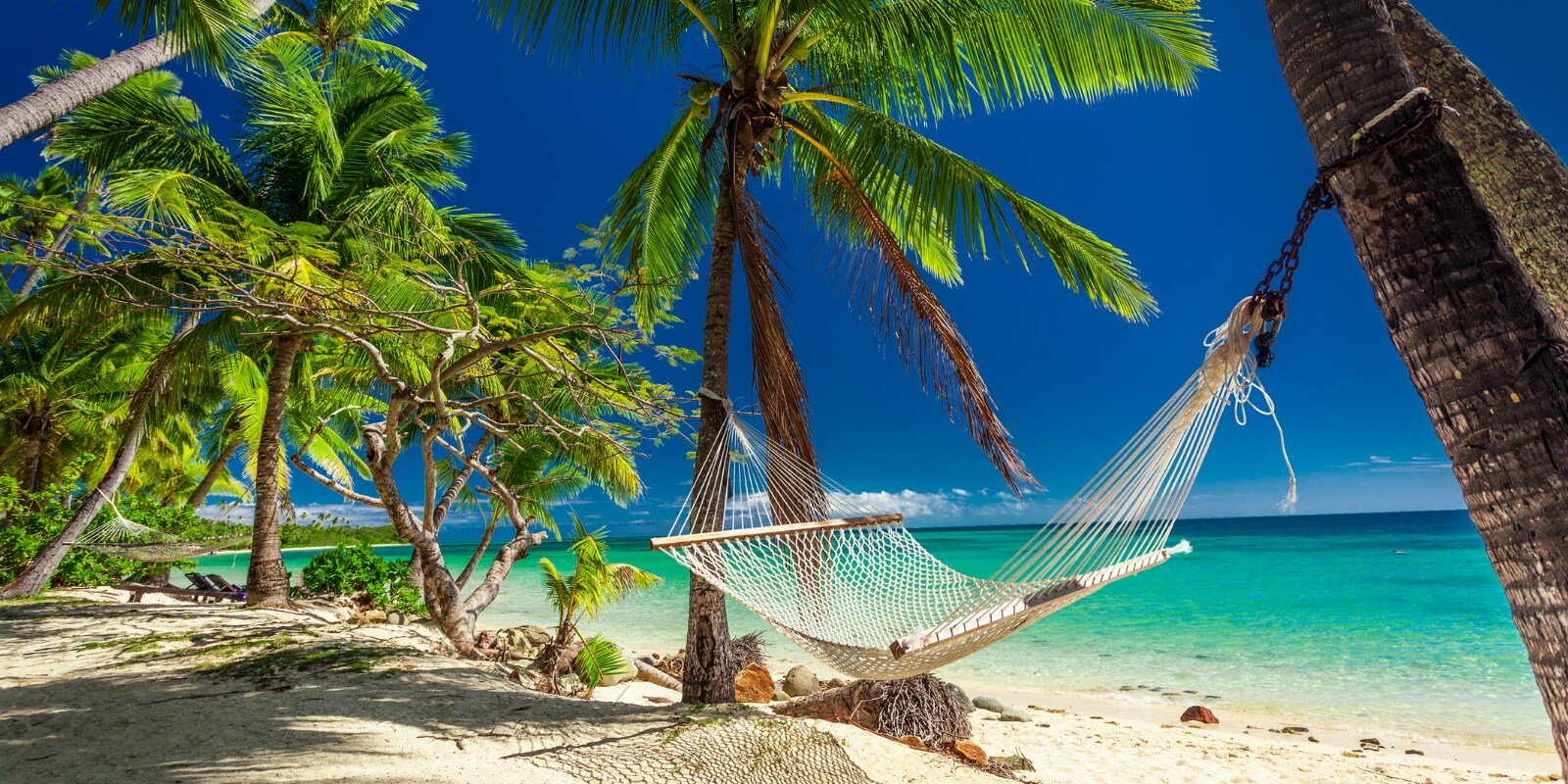 Shady Palm Trees over a Hammock in Tropical Fiji