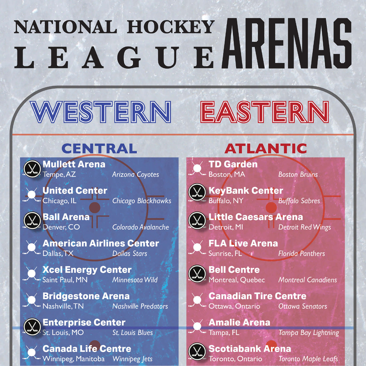 Closeup of Hockey Puck Pins on Hockey Arena Bucket List