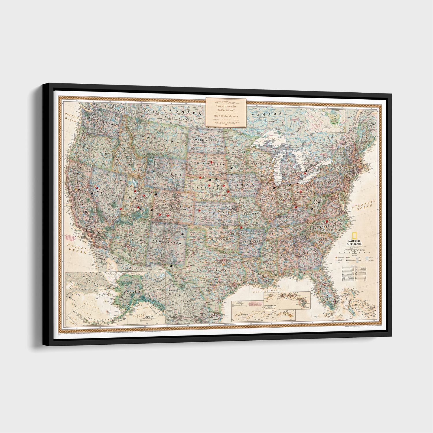 Canvas - Executive USA Travel Pin Map