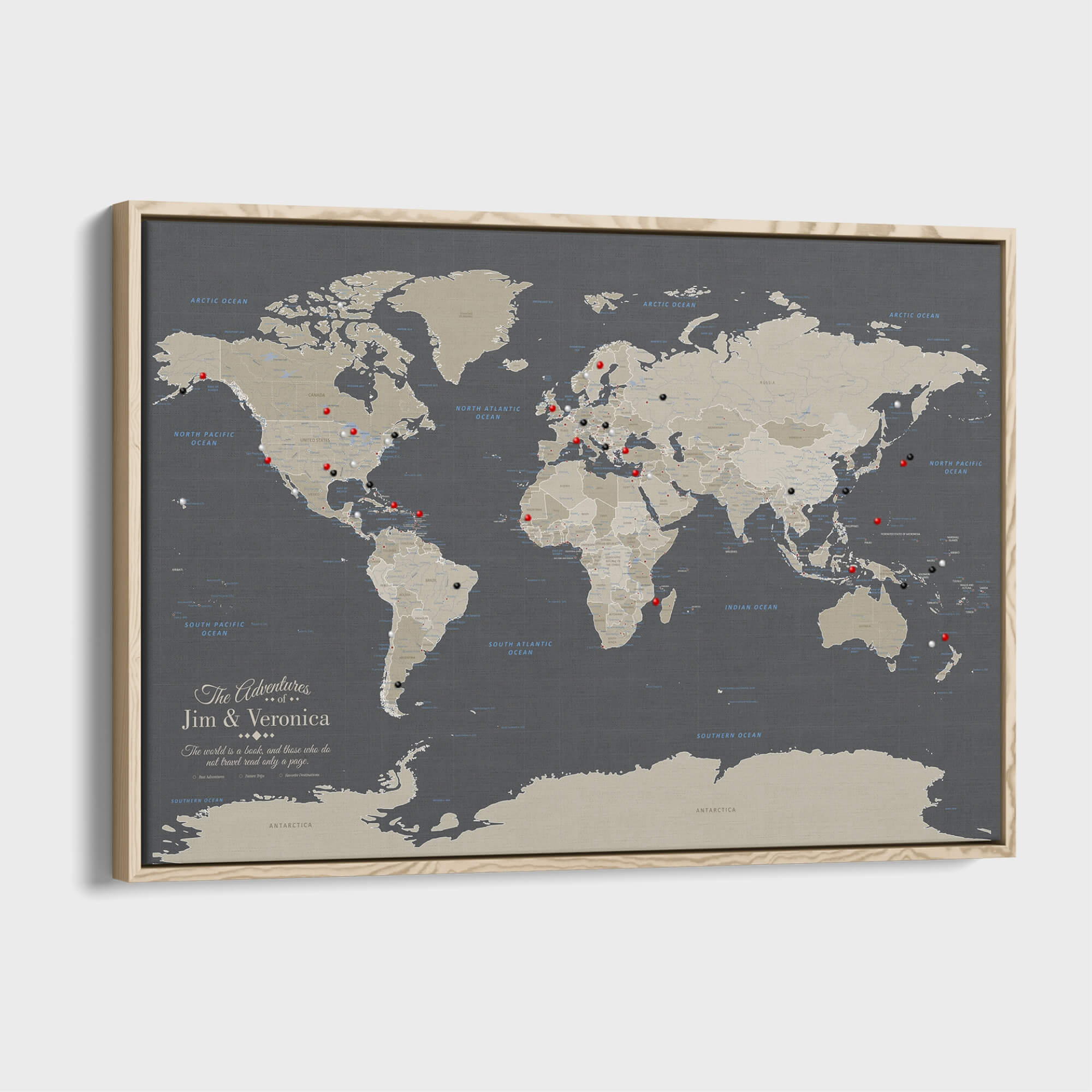 Canvas - Earth Toned World Travel Map with pins