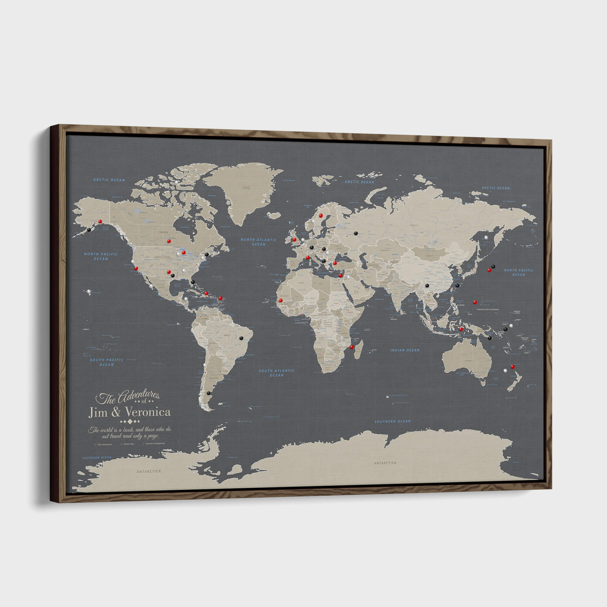 Canvas - Earth Toned World Travel Map with pins