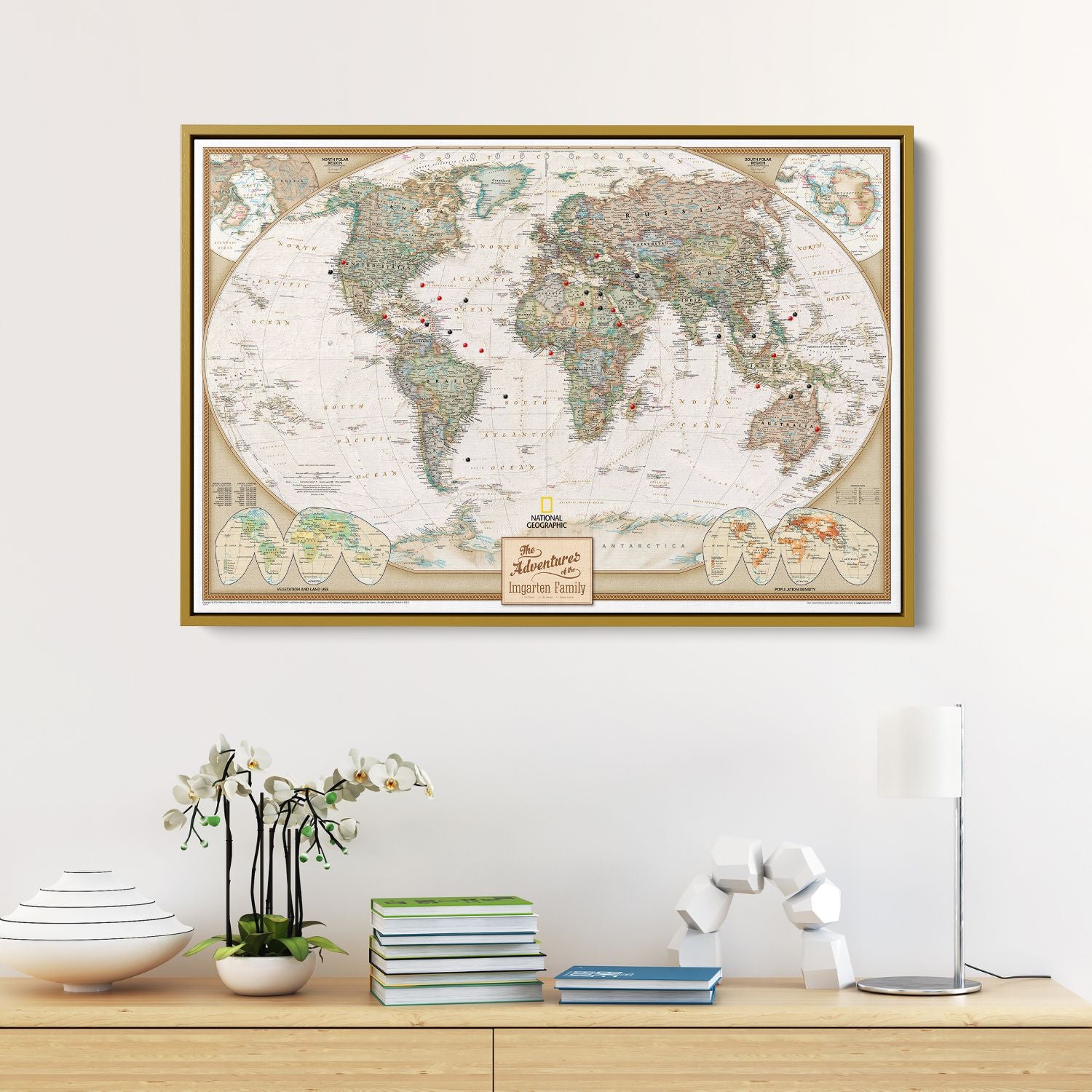 Canvas - Executive World Travel Map with Pins