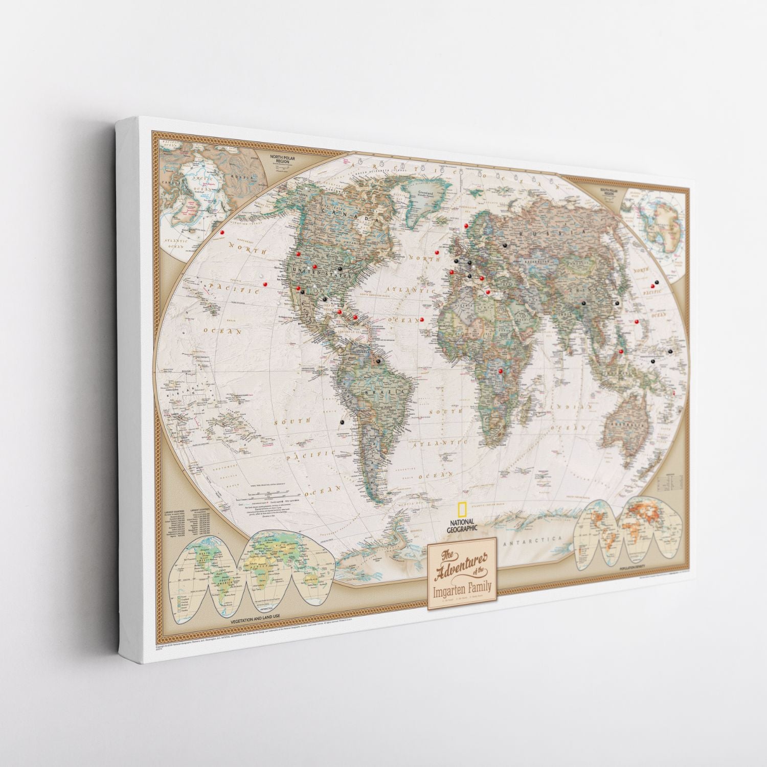 Gallery Wrapped - Executive World Travel Map with pins
