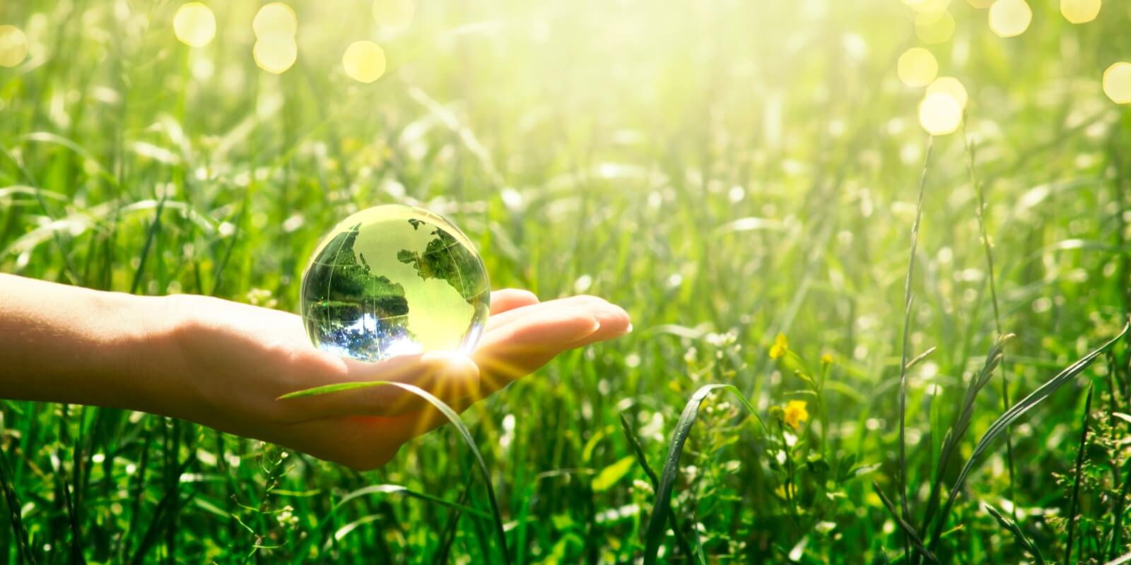 Crystal Clear Globe with Green Grass