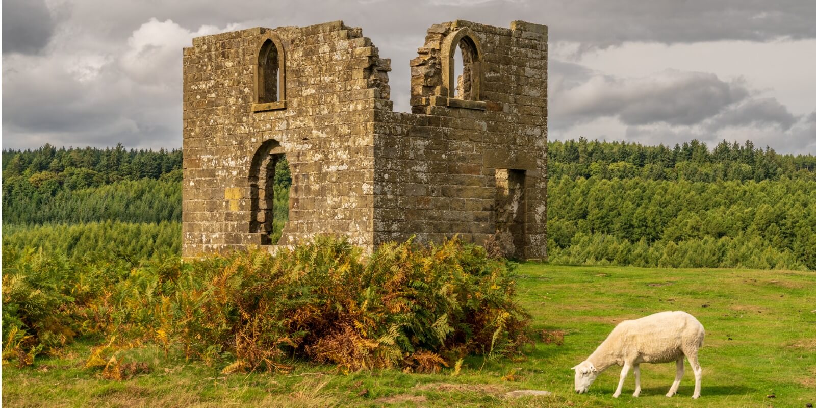 North York Moors landscape, looking at Skelton Tower, seen from the Levisham Moor, North Yorkshire, England, UK 