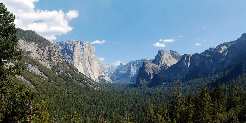 Pinning the Parks: Yosemite National Park