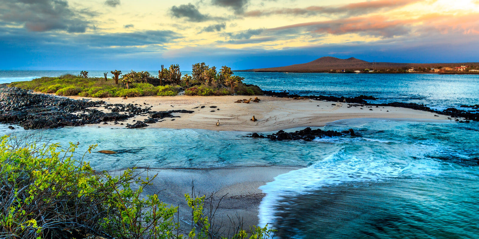 Galapagos Islands