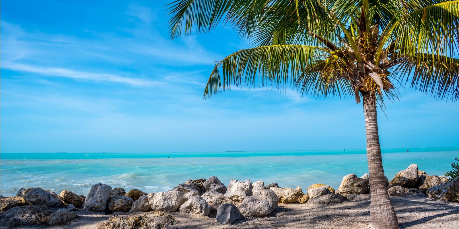 5 Amazing Things To Experience In The Florida Keys