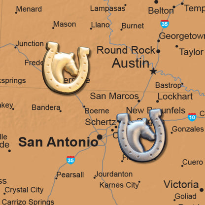 Horse and Horseshoe Pins Main Image