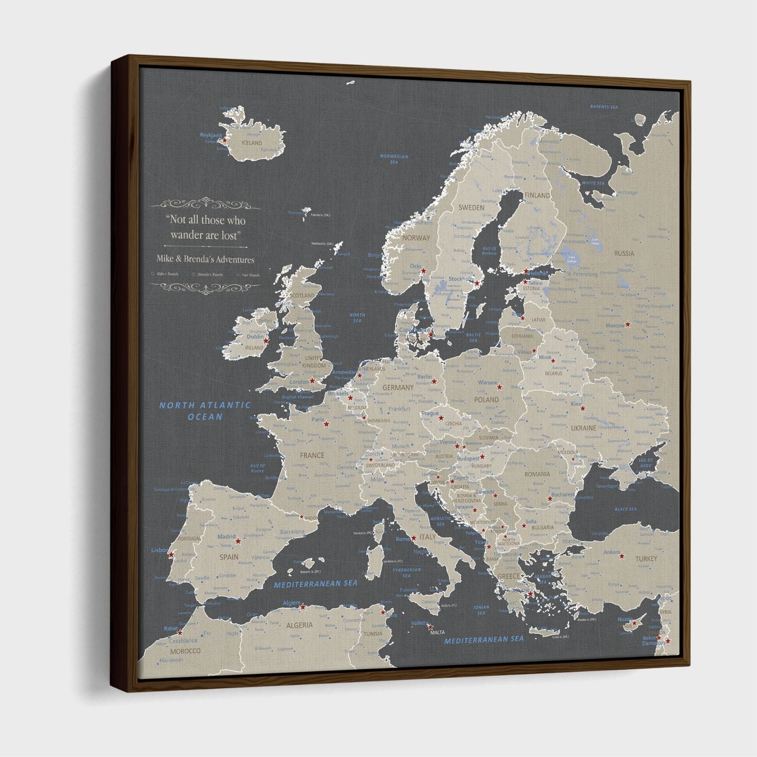 Earth toned Europe travel map canvas with walnut float frame and red pin markers
