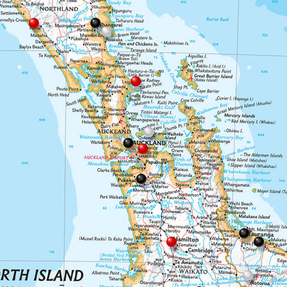 Canvas Classic New Zealand Close Up