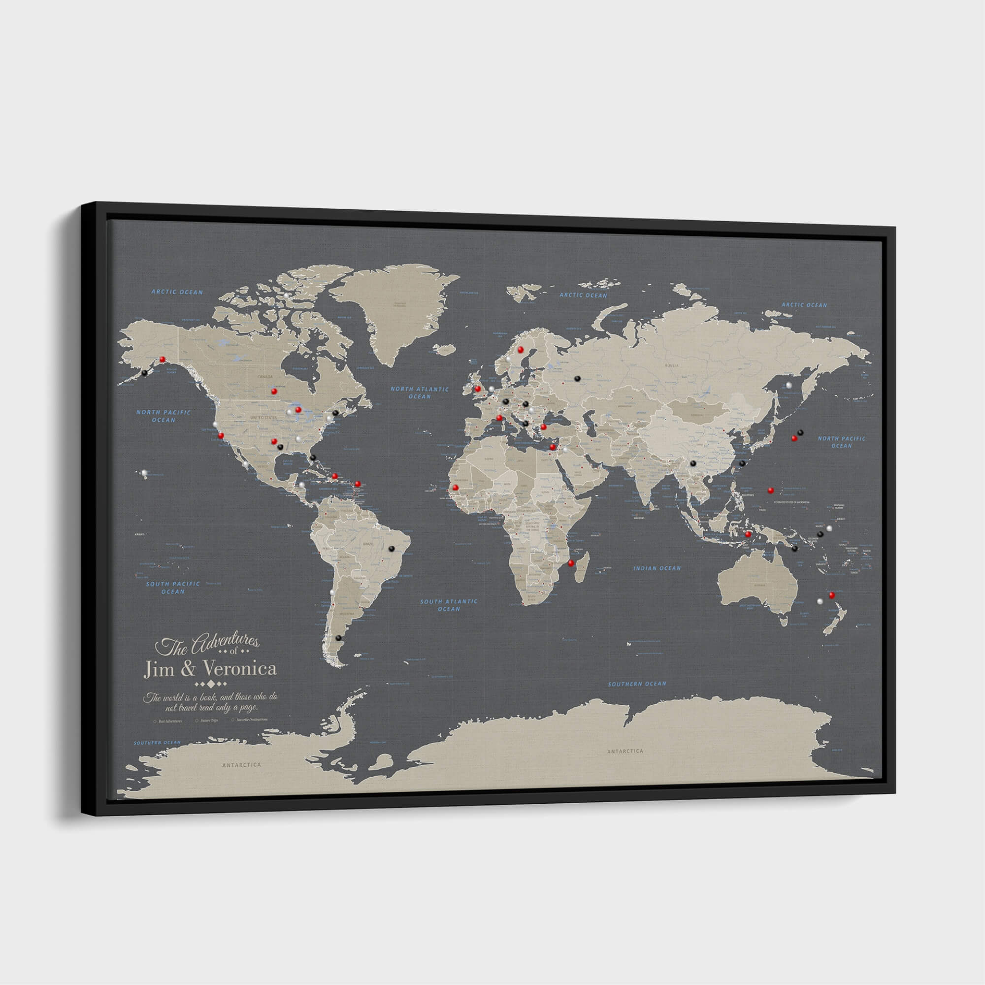 Canvas - Earth Toned World Travel Map with pins