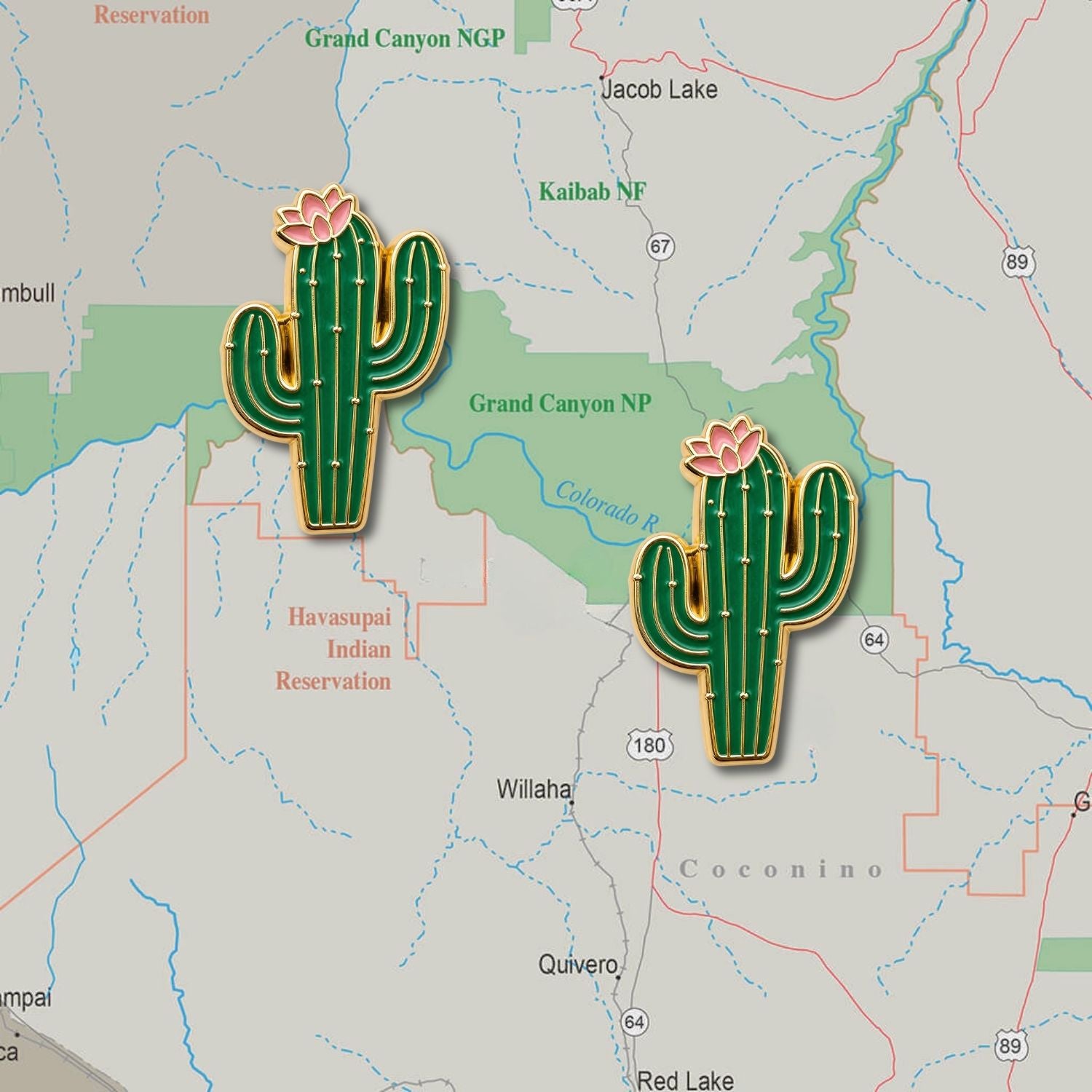 Cactus Push Pins - Desert Enamel Map & Lapel Pins