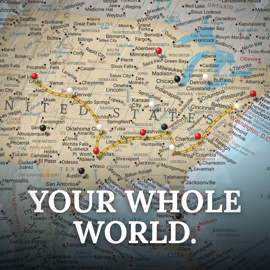 Canvas - Signature World Travel Map with pins