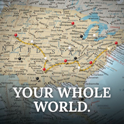 Canvas - Signature World Travel Map with pins