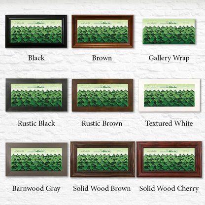 Green Adirondack 46ers Checklist Shown in Standard Frames