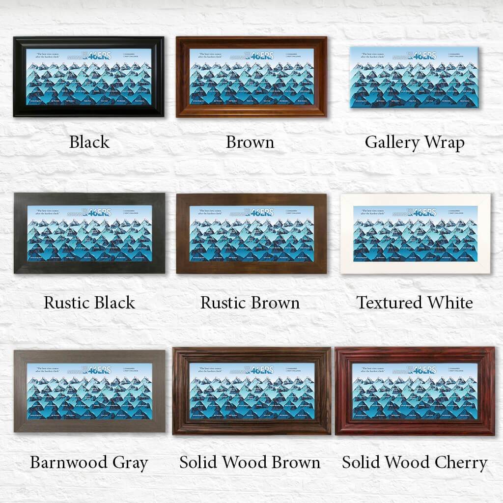 Teal Adirondack 46ers Bucket List Pinboard Shown in Standard Frames