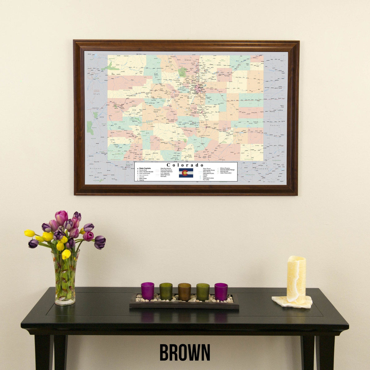 Colorado Push Pin Travel Map in Brown Frame