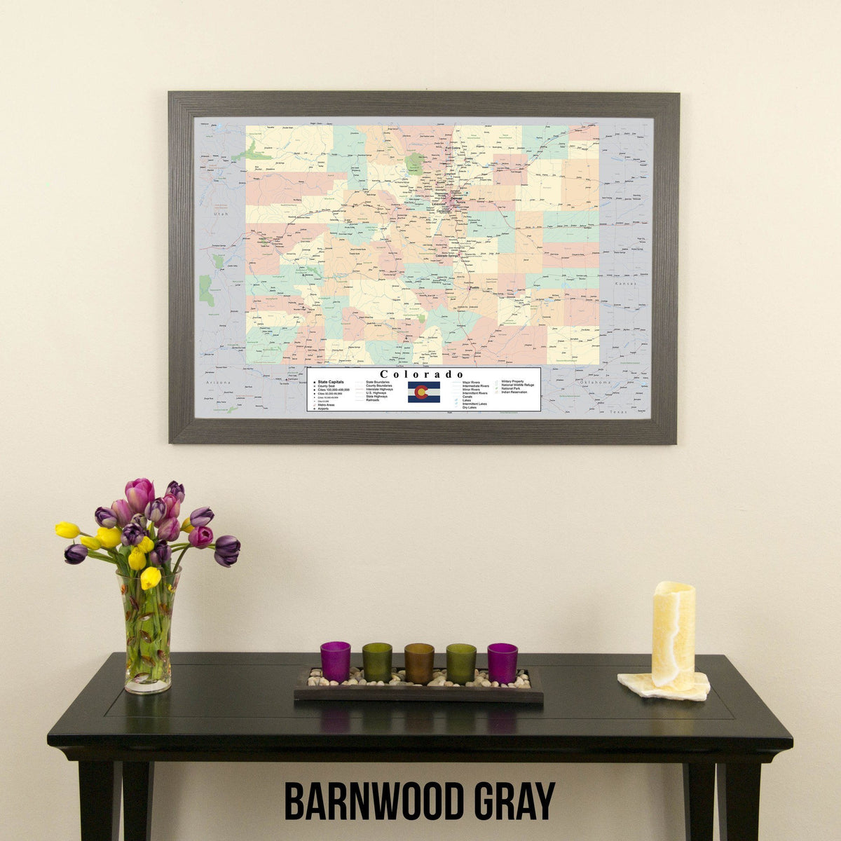 Colorado Push Pin Travel Map in Barnwood Gray Frame