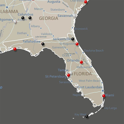 Canvas Earth Toned USA Closeup of Florida