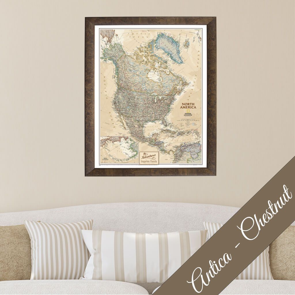 Canvas - Executive North America Travel Map with Pins