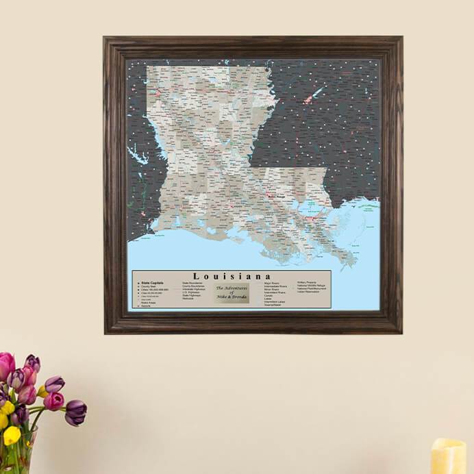 Earth Toned Louisiana State Map with Pins main image