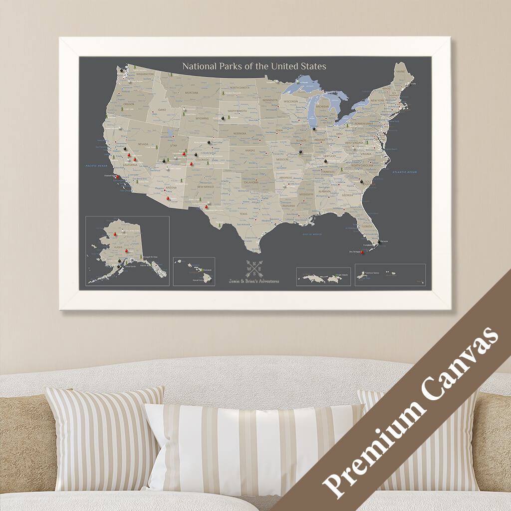 Canvas Earth Toned National Parks of the USA Wall Map with Pins