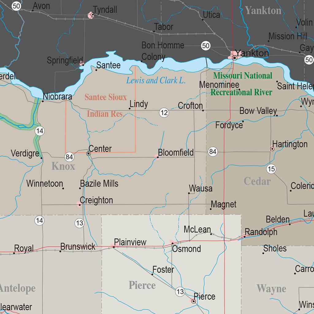 Earth Toned Nebraska State Push Pin Travel Map closeup