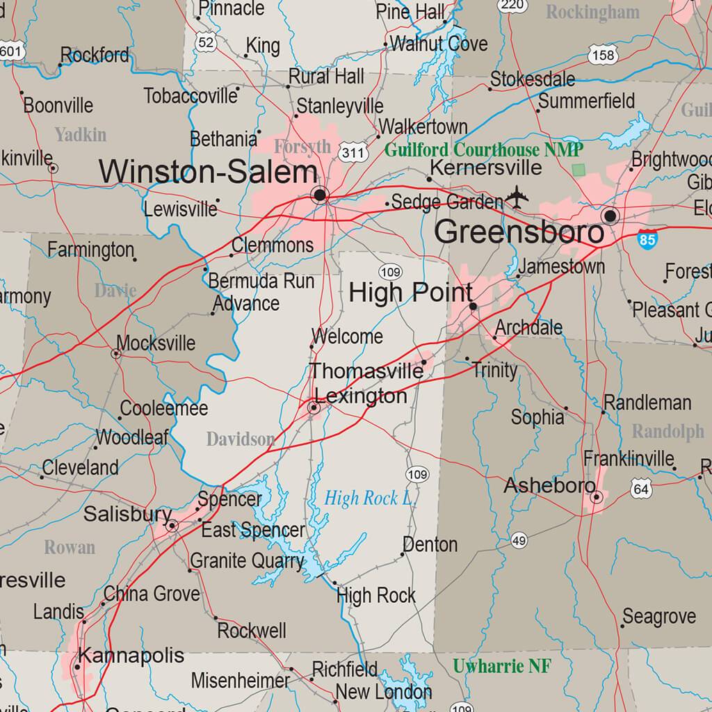 Earth Toned North Carolina State Map with Pins closeup