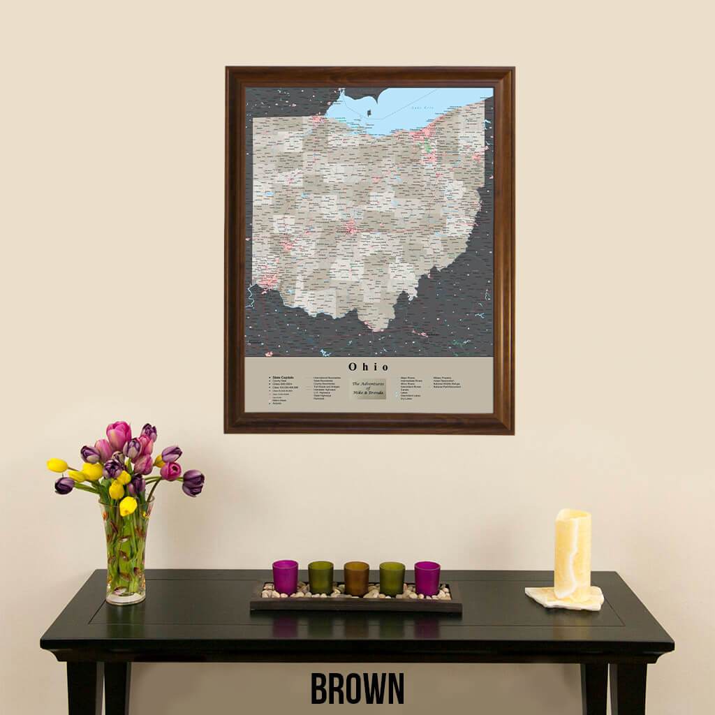 Earth Toned Ohio State Push Pin Map with Pins Brown Frame