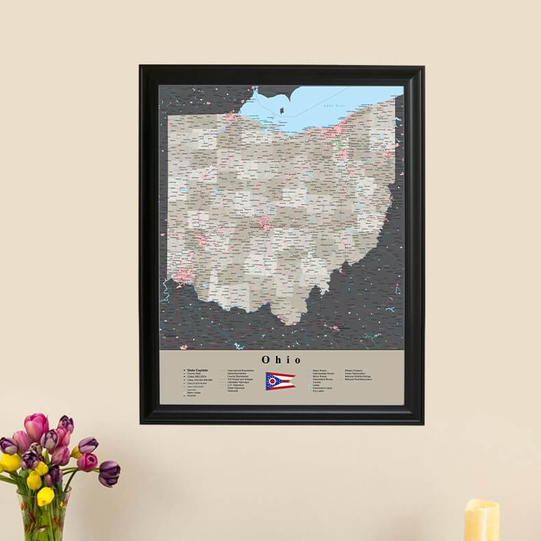 Earth Toned Ohio State Push Pin Map with Pins main picture