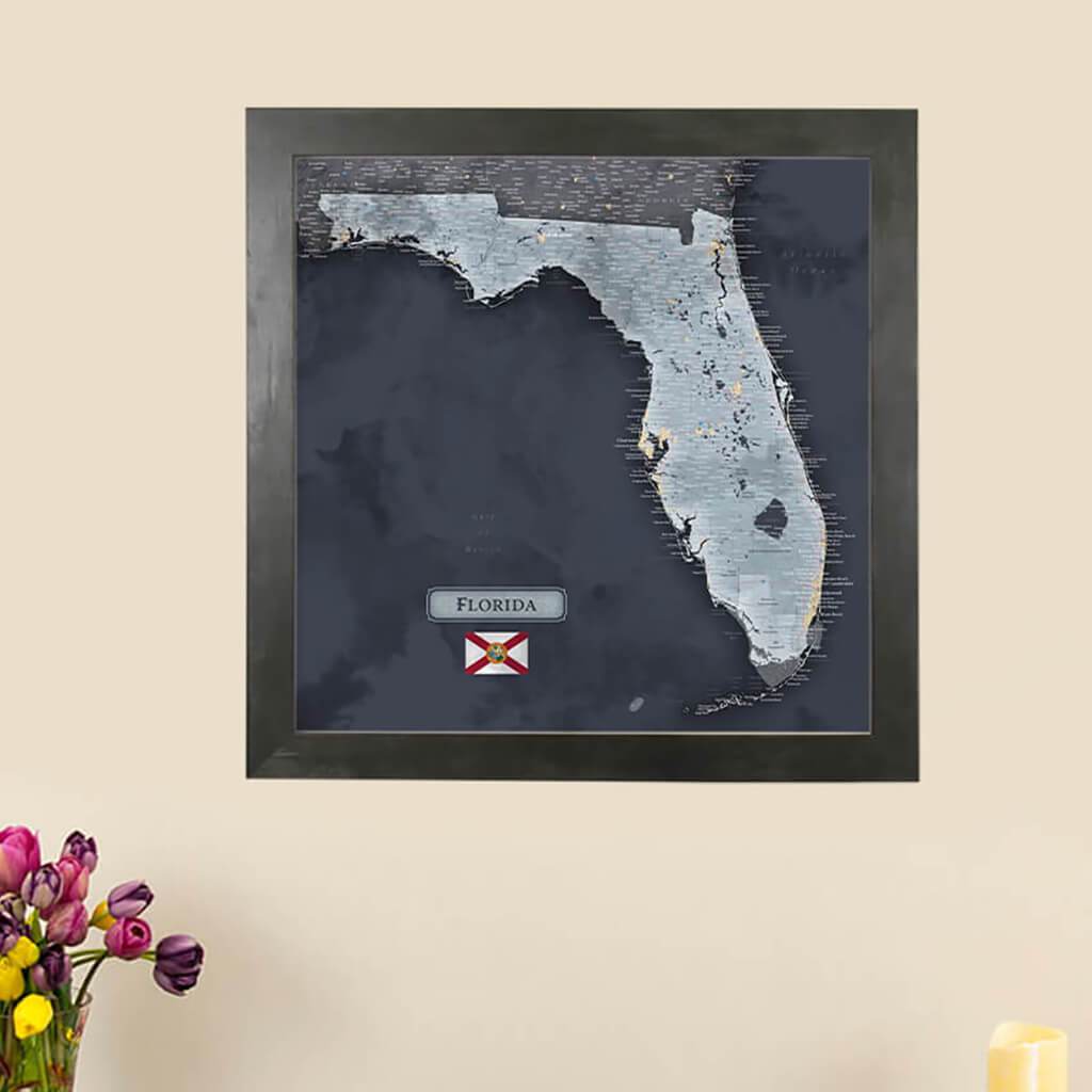 Push Pin Travel Maps Florida State Slate Colored Map with pins Main Image